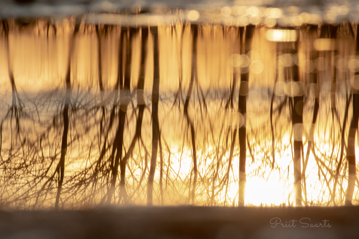 Abstraktne veelombi peegeldus